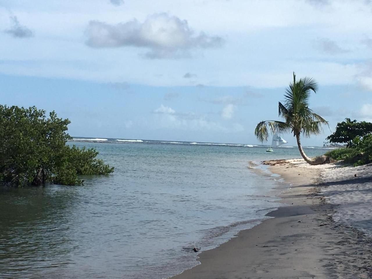 Polinesia Resort - Porto De Galinhas - Apartamentos Com Somente 1 Opcao De Terreo Com Piscina Privativa - Acesso Ao Hotel Samoa 外观 照片