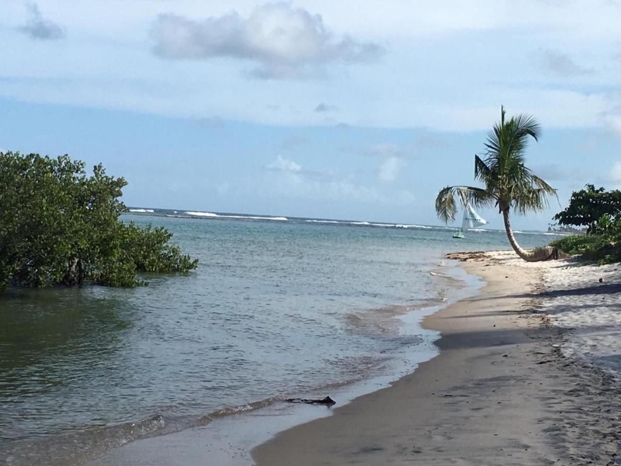 Polinesia Resort - Porto De Galinhas - Apartamentos Com Somente 1 Opcao De Terreo Com Piscina Privativa - Acesso Ao Hotel Samoa 外观 照片